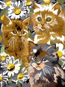 PEINTURE À NUMÉROS JUNIOR - CHATON ET MARGUERITES